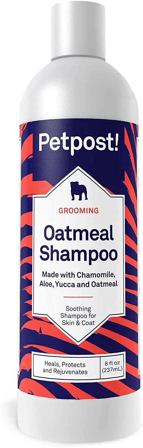  Petpost | Champú De Avena Y Manzanilla para Perros con Piel Seca: Cura, Protege Y Rejuvenece De Forma Natural La Piel Y El Pelaje De Los Perros: Fórmula De Avena, Manzanilla, Aloe Y Yuca (237 ml) 