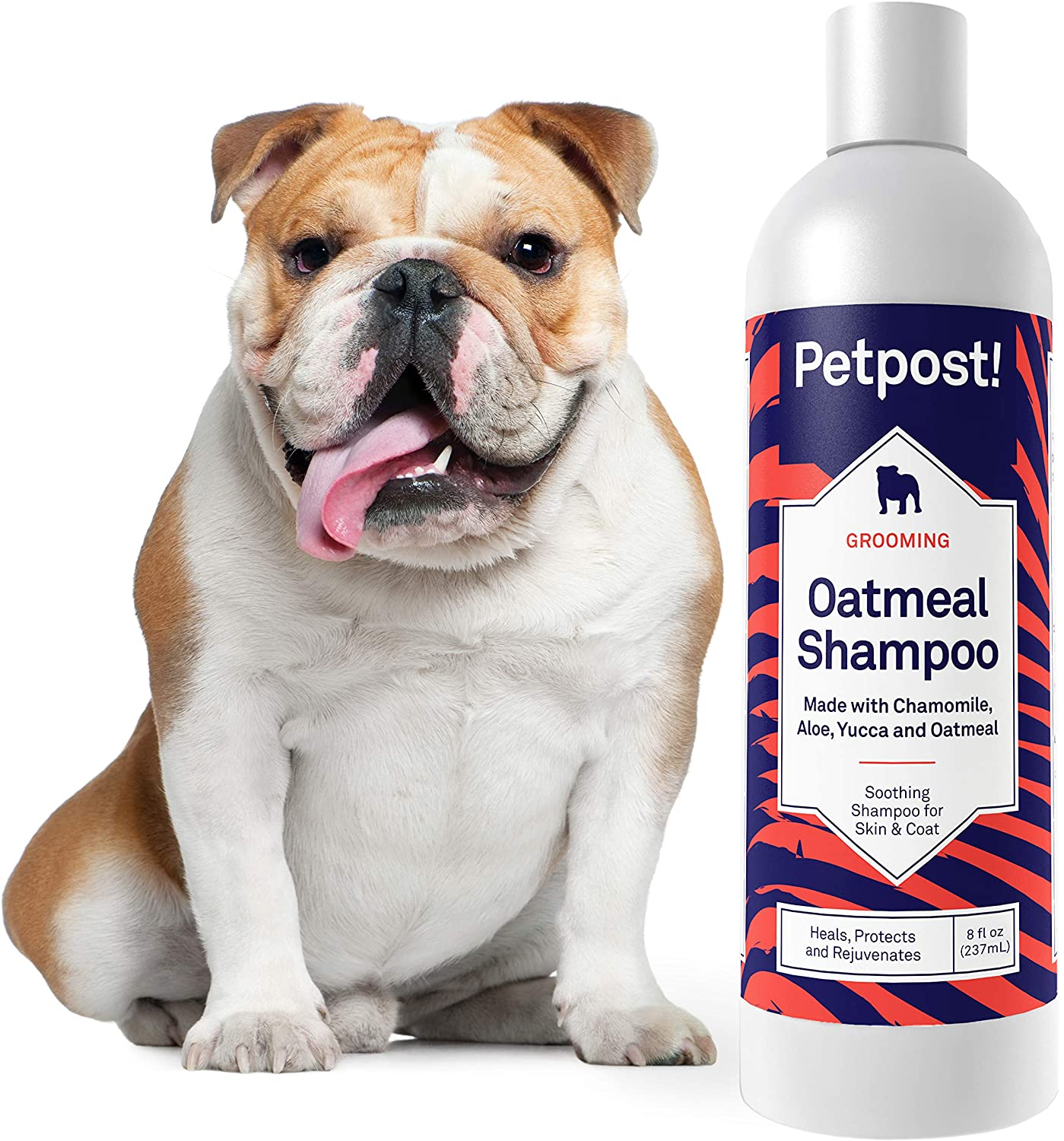  Petpost | Champú De Avena Y Manzanilla para Perros con Piel Seca: Cura, Protege Y Rejuvenece De Forma Natural La Piel Y El Pelaje De Los Perros: Fórmula De Avena, Manzanilla, Aloe Y Yuca (237 ml) 