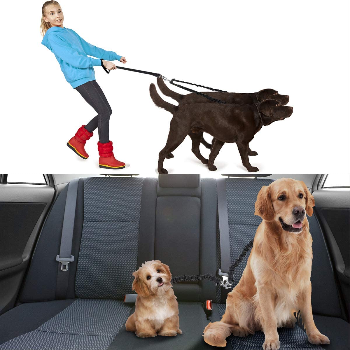  Petyoung - Cinturón de Asiento de Coche para Perro, Ajustable y Doble, rotación de 360°, no enreda, Correa para Perro con Correa elástica Reflectante para Dos Perros 