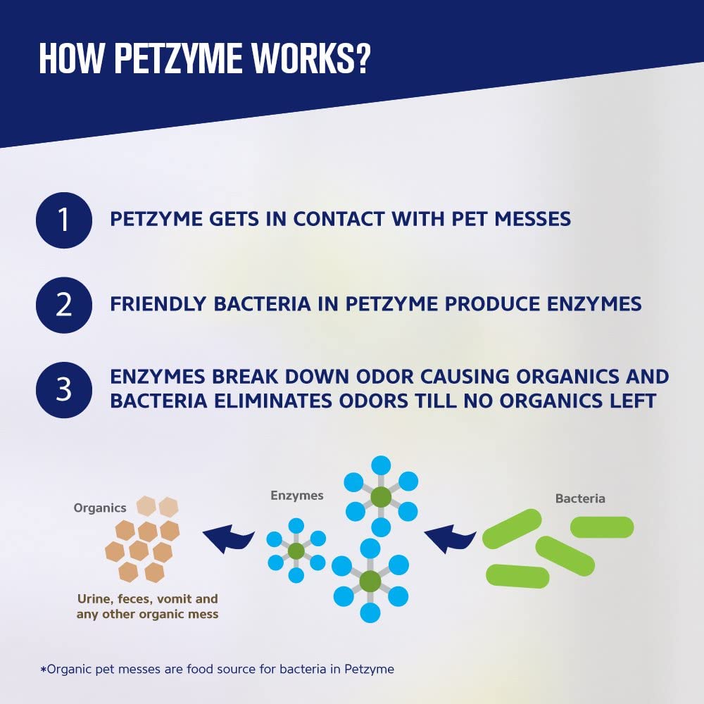  Petzyme Pet Stain Remover & Odor Eliminator, Enzyme Cleaner for Dogs, Cats Urine, Feces and More, 32 Fl Oz Spray by Petzyme 