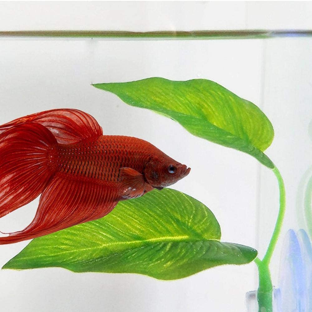  Poetryer Reposo para Peces Cama Betta Hamaca para Peces Impermeable Betta de Doble Capa Descanso para Peces Desove con Ventosa No tóxico Hoja Artificial Peces Betta Hamaca 