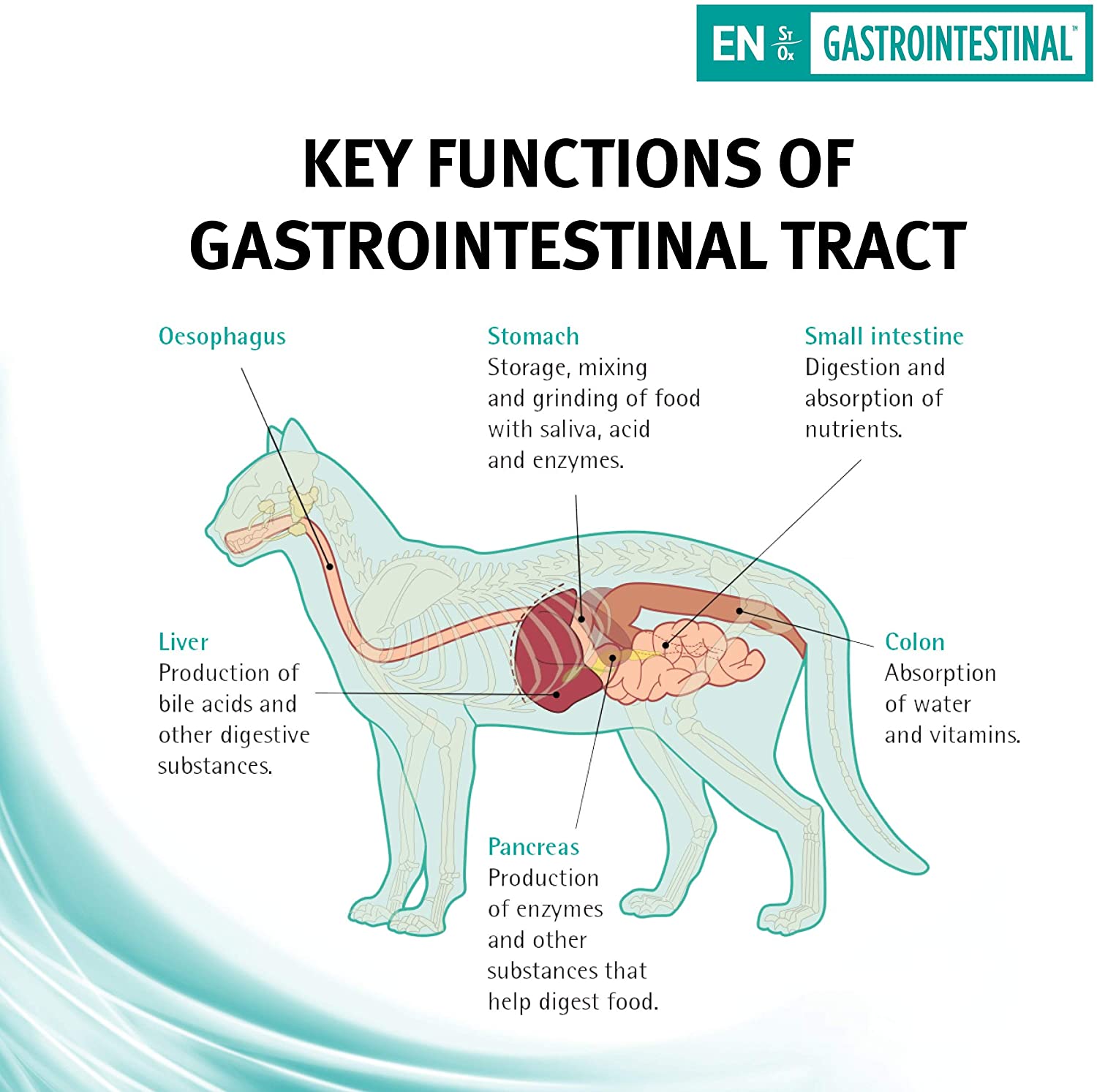  Pro Plan Dietas Veterinary Feline EN Gastrointestinal Dry Cat Food 195g - Caja de 24 