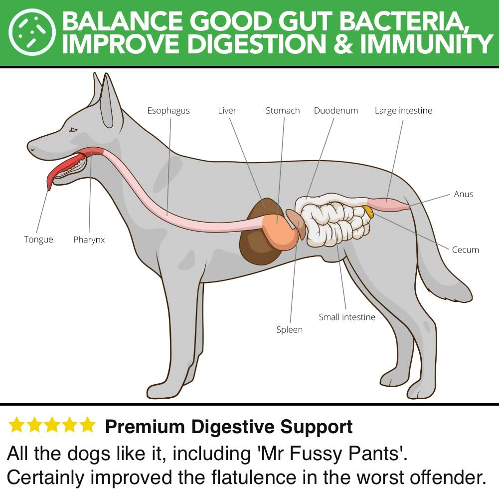  Probióticos, Prebióticos y Enzimas Digestivas Para Perros | 100% Natural 250g | Para Calmar el Estómago, la Digestión Mejorar la Inmunidad las Deposiciones y las Flatulencias | 10 Mil Millones de CFU 