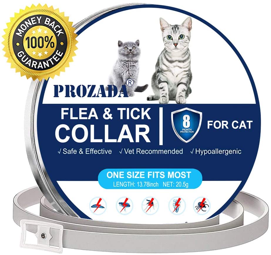  PROZADA Collar Antiparasitario para Gatos, 8 Meses de protección Stop Bichos y picazón, gregado con Aceites Naturales, Tamaño Ajustable e Impermeable (1) 