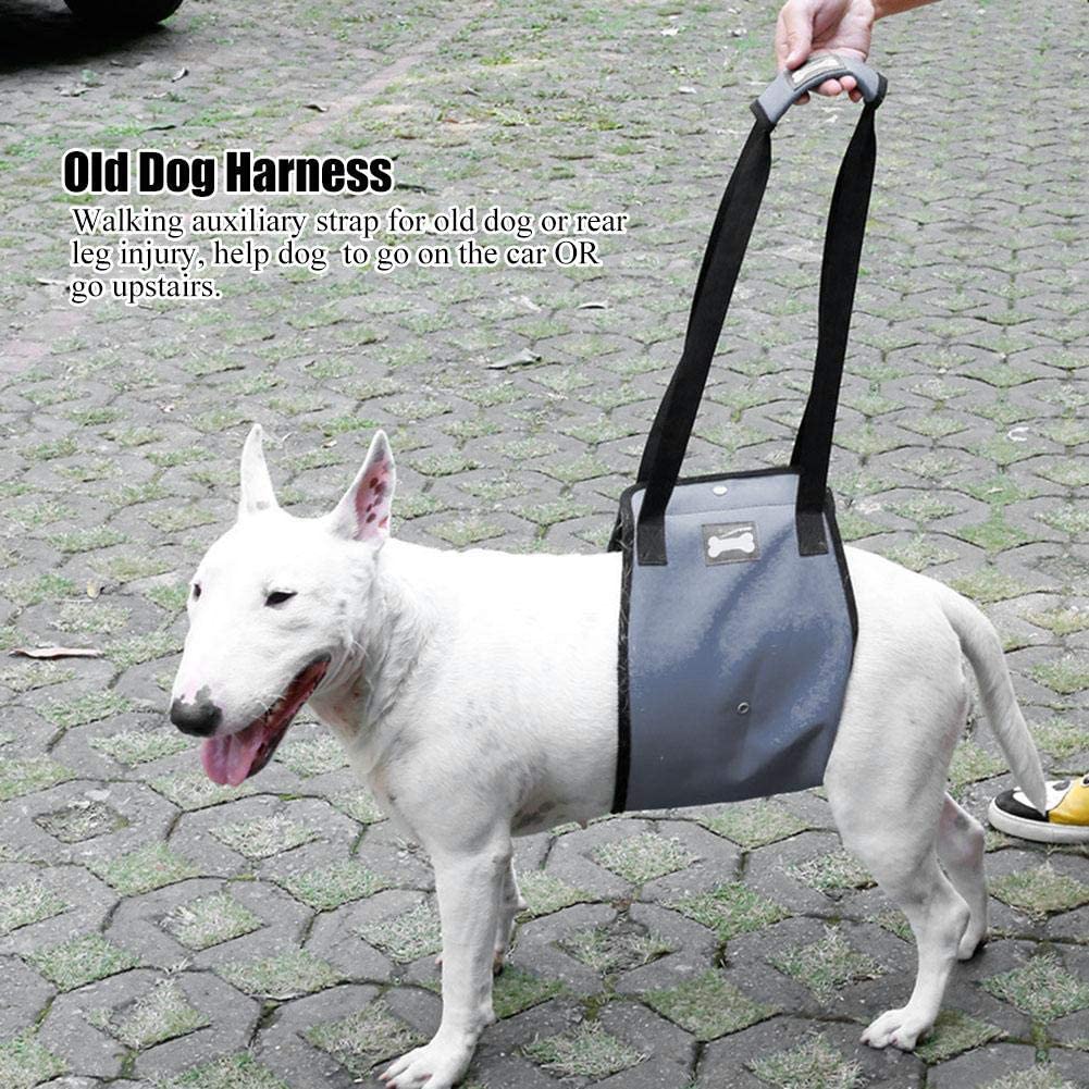  Pssopp Arnés de rehabilitación para Perros, Arnés para Caminar, Elevador para Llevar Arnés de Soporte de elevación para Perros Soporte para arnés de elevación para Perros con manija (XL Gris) 