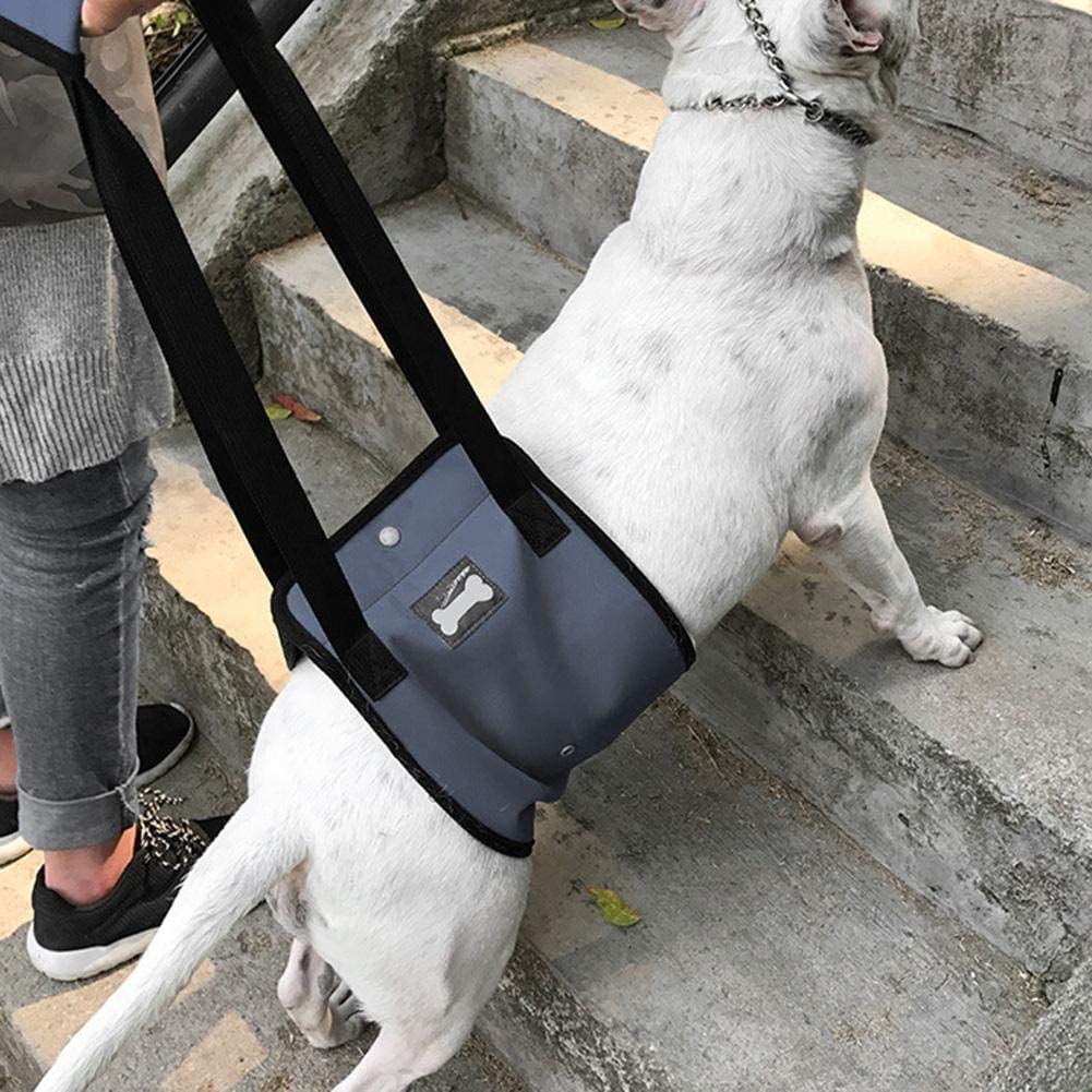  Pssopp Arnés de rehabilitación para Perros, Arnés para Caminar, Elevador para Llevar Arnés de Soporte de elevación para Perros Soporte para arnés de elevación para Perros con manija (XL Gris) 