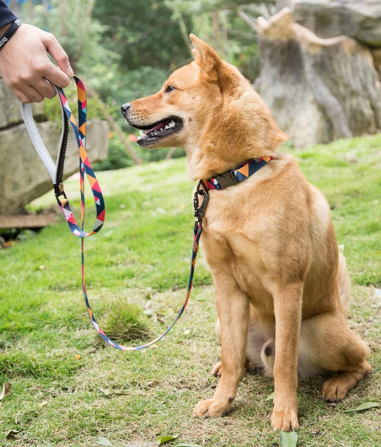  Puccybell Collar y Correa para Perros de Nylon (1,5 m) en un Conjunto, diseño geométrico, para Perros pequeños, medianos y Grandes HLS008 (M, Naranja Colorido) 