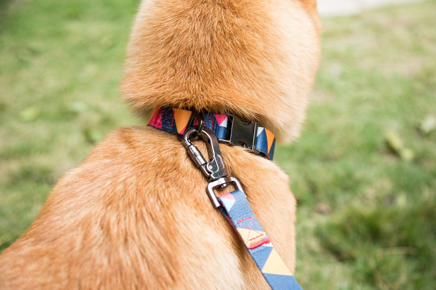  Puccybell Collar y Correa para Perros de Nylon (1,5 m) en un Conjunto, diseño geométrico, para Perros pequeños, medianos y Grandes HLS008 (M, Naranja Colorido) 