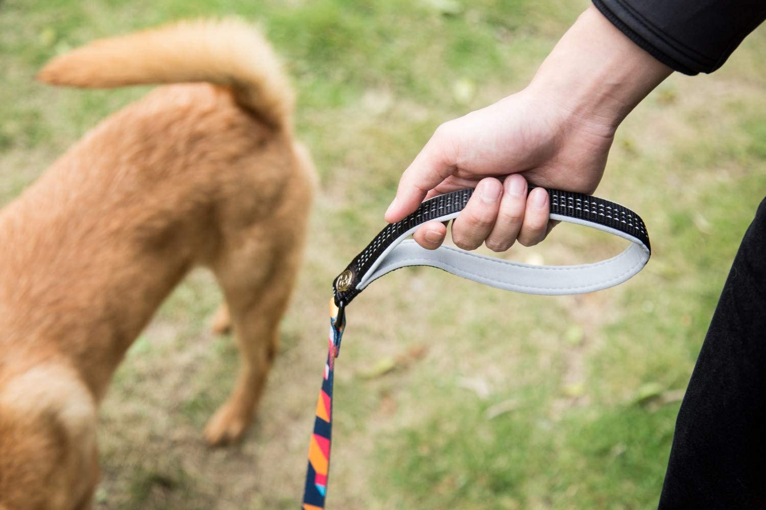  Puccybell Collar y Correa para Perros de Nylon (1,5 m) en un Conjunto, diseño geométrico, para Perros pequeños, medianos y Grandes HLS008 (M, Naranja Colorido) 