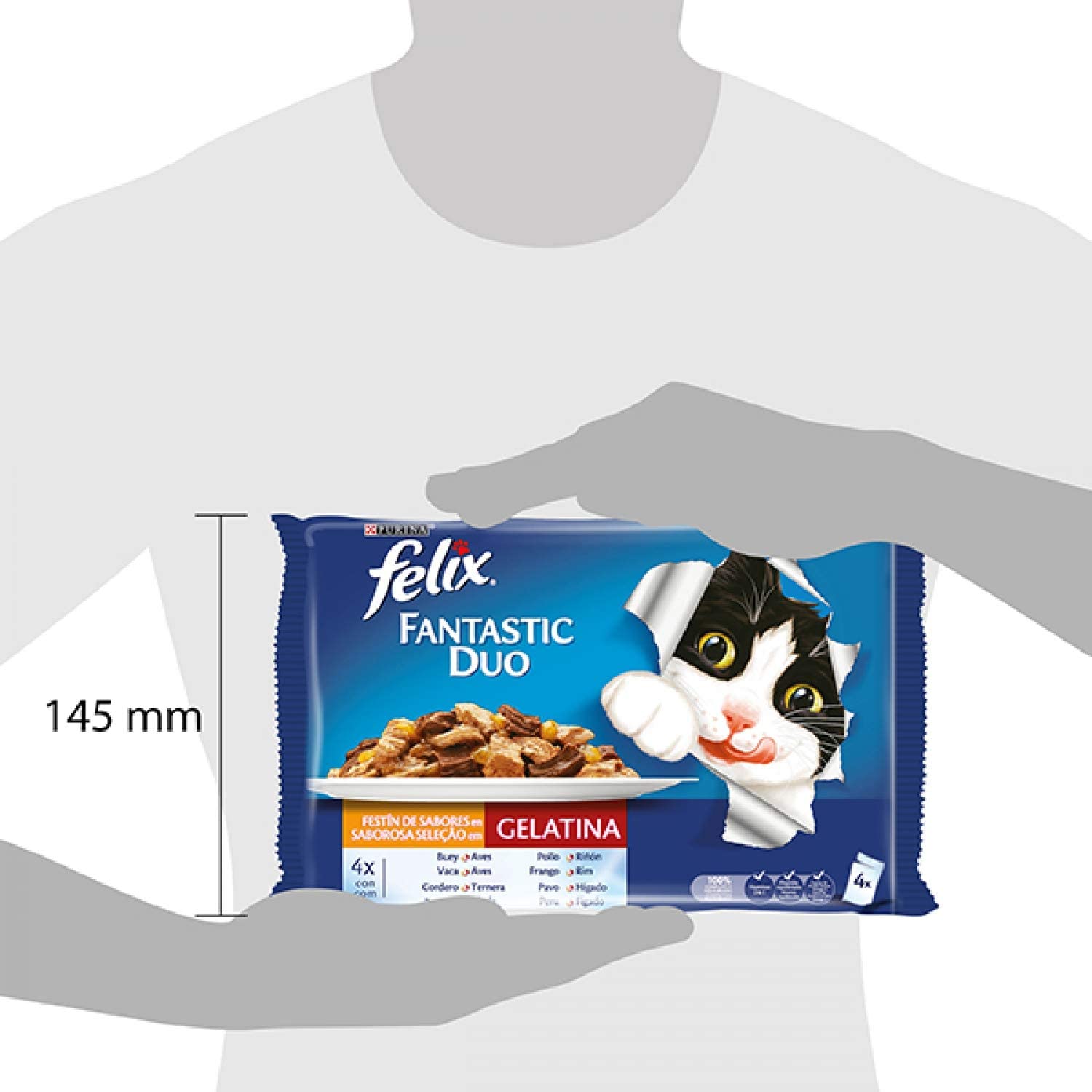  PURINA Felix Fantastic Duo Delice - Comida para Gatos Sobres Variedad de Carnes 10 x [4 x 100 g] 