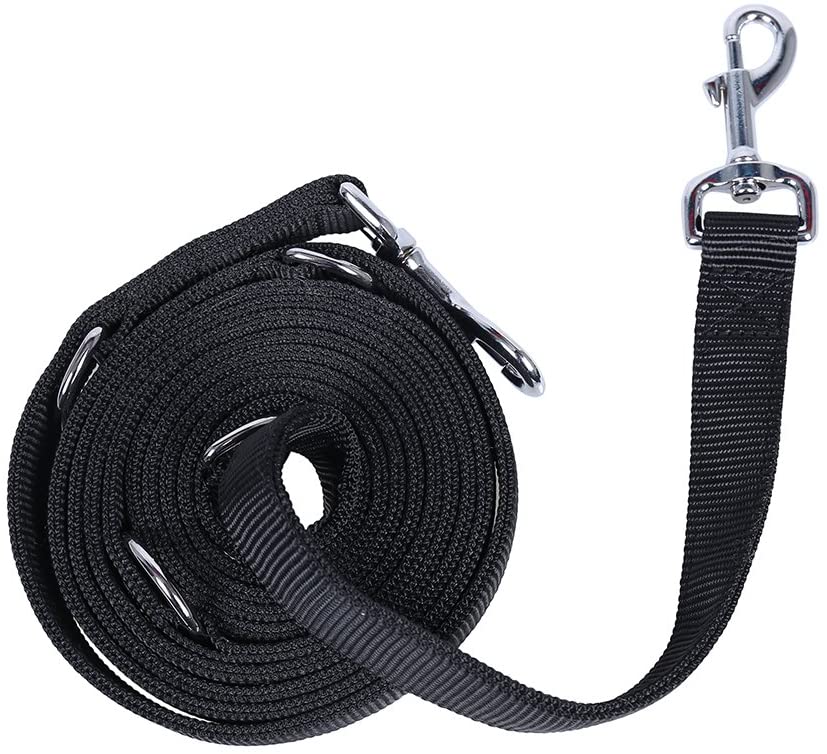  QQDOG Correa de Perro en Negro, Resistente y Ajustable en 5 Longitudes (1,60m-1,70m-2,25m-2,80m-3,00m) 3m Correa para Perro, Correa Doble 