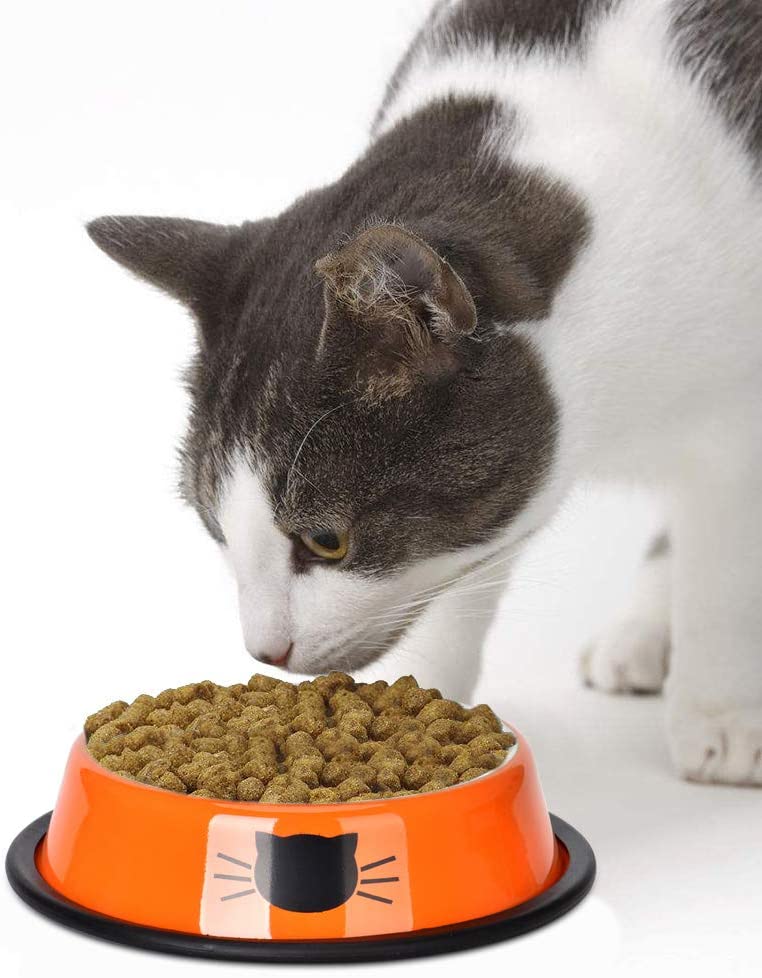  Queta 3 Pieza Comida con una Superficie para Comida Comida para Gatos de Acero Inoxidable Comida para Gato Juego Comedero para Animales Gato Bol de Comida Gato Agua Forro Cuenco 