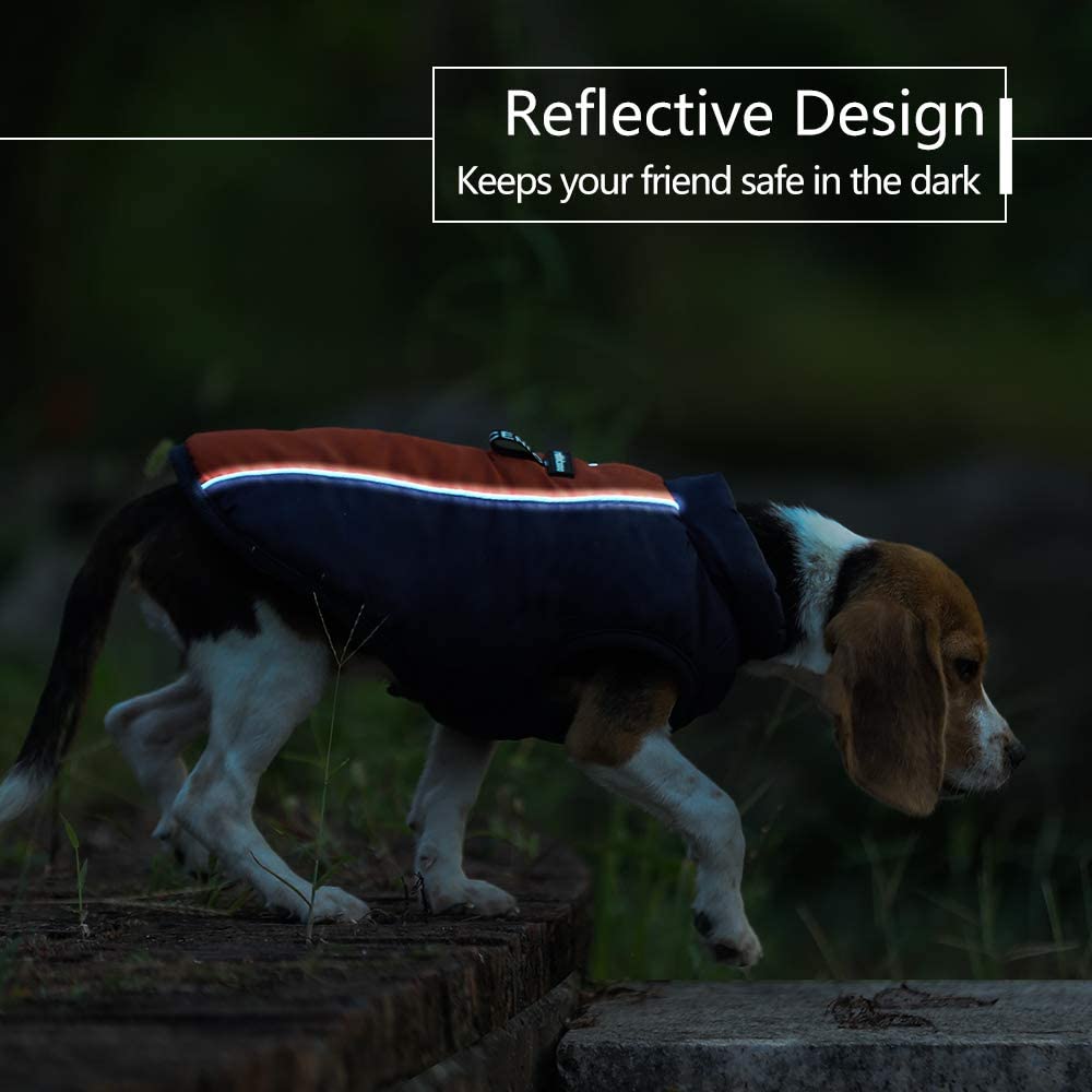  rabbitgoo Abrigo para Invierno Impermeable Ropa Perro con Lineas Reflecantes Transpirable Chaleco Acolchado Chubasqueros Ropa Perro Invierno, Cálido Chaqueta para Perros Mascotas Azul Marino 