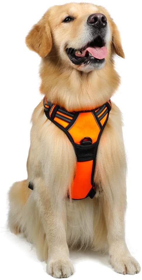  rabbitgoo Arnes Antitirones Perro Ajustable con Lineas Reflectantes Arnés Coche Perro Coche Adiesreamiento Arnes Perro Chaleco Transpirable con Asa Seguridad Easy Walk Grande Naranja 