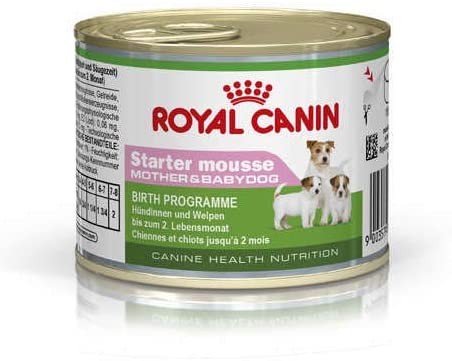  RC STARTER MOUSSE 195G 