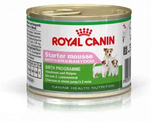  RC STARTER MOUSSE 195G 