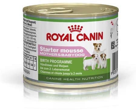  RC STARTER MOUSSE 195G 