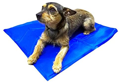  Rebeca Shop - 37102 - Alfombra de gel refrescante para perros y gatos, 40 × 50 cm - 