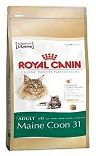  Royal Canin Alimento completo para gatos adultos para Maine Coon 31 (10 kg) (Paquete de 6) 