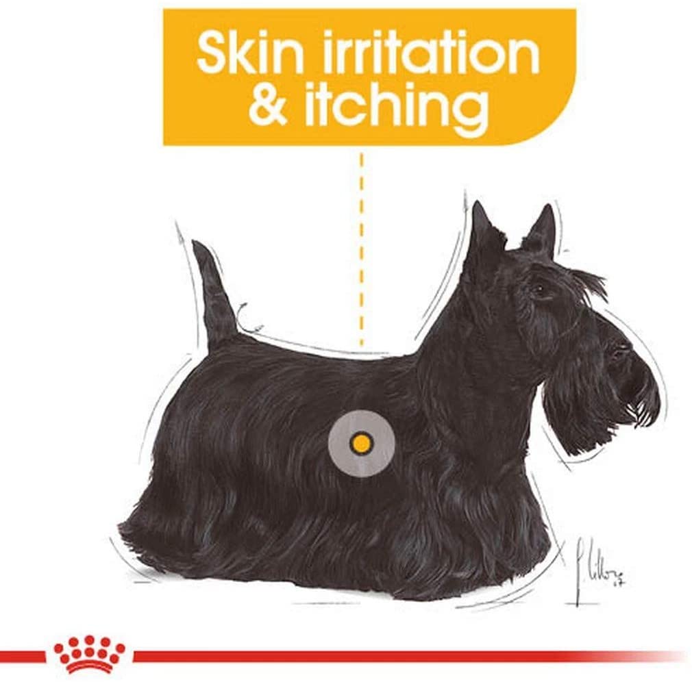  ROYAL CANIN Alimento húmedo DERMACOMFORT Paté para Perros con Pieles Sensibles, Caja Completa 12 x Sobres 85g 