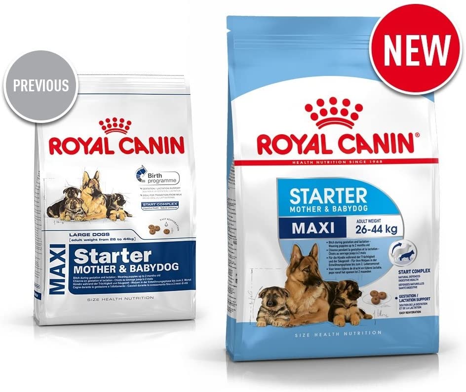  Royal Canin C-08442 S.N. Maxi Starter - 15 Kg 