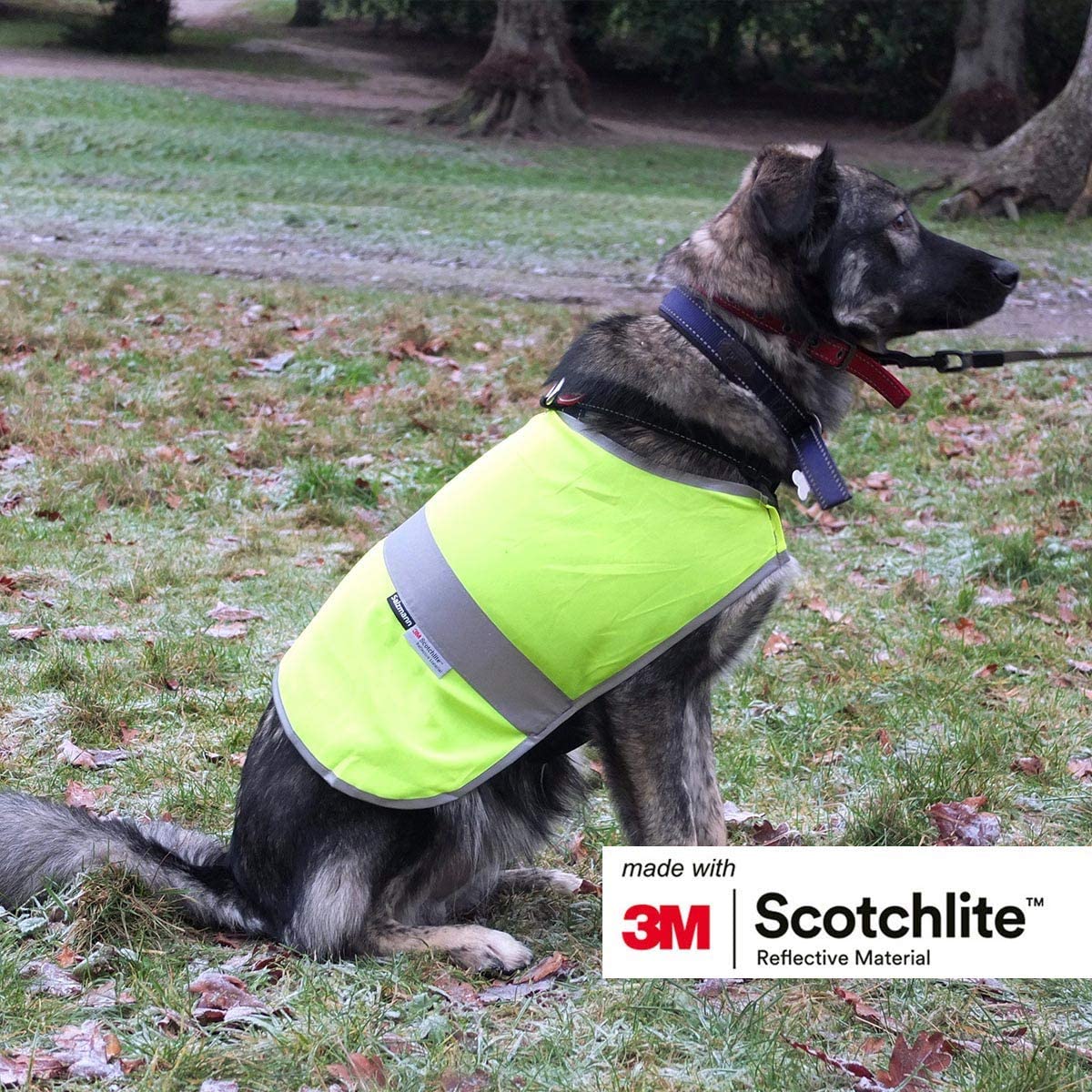  Salzmann 3M Chaleco Reflectante para Perros, Hecho con 3M Scotchlite, Chaqueta Reflectante para Perros en Diferentes tamaño para Todas Las Razas de Perros (2 Piezas por Juego). 