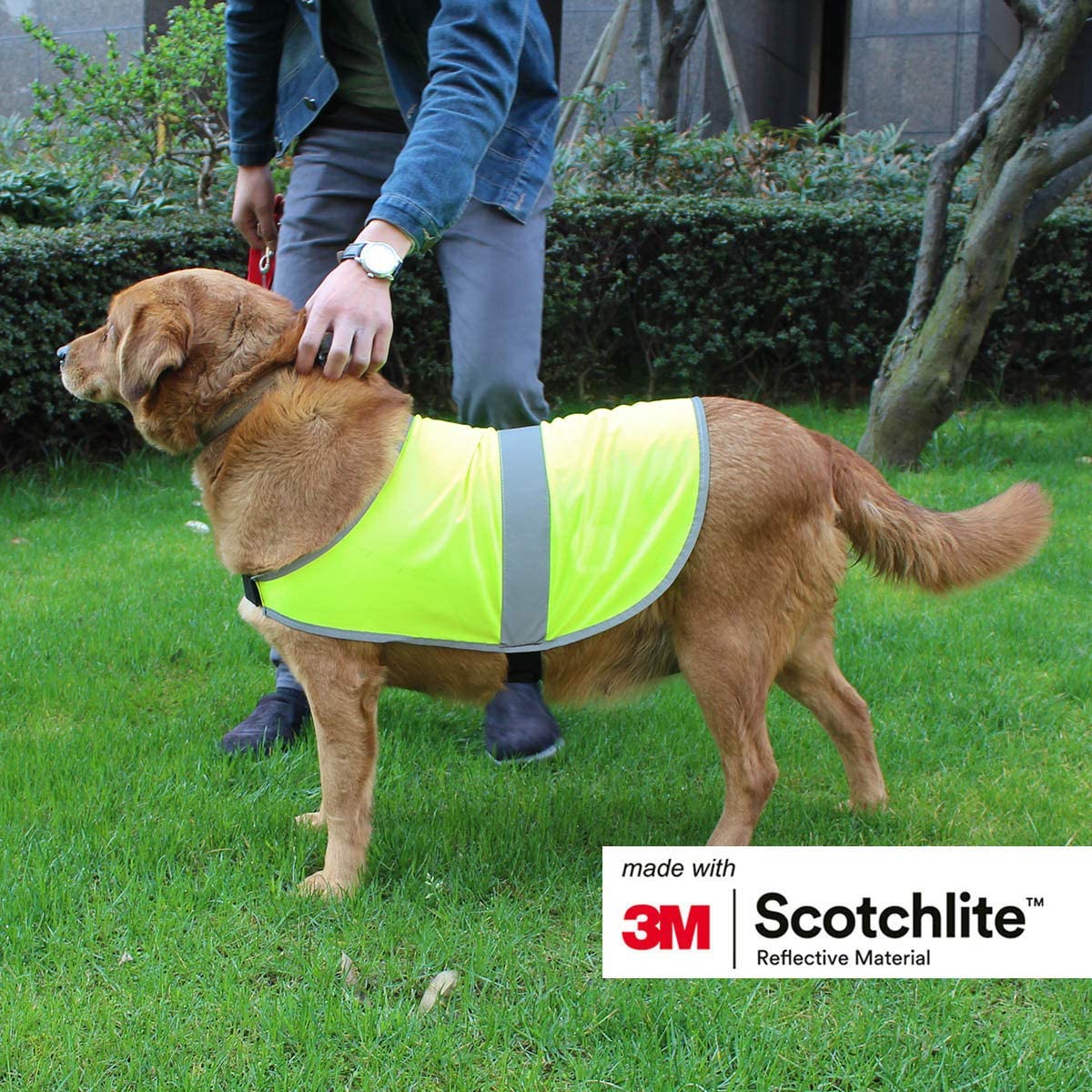  Salzmann 3M Chaleco Reflectante para Perros, Hecho con 3M Scotchlite, Chaqueta Reflectante para Perros en Diferentes tamaño para Todas Las Razas de Perros (2 Piezas por Juego). 