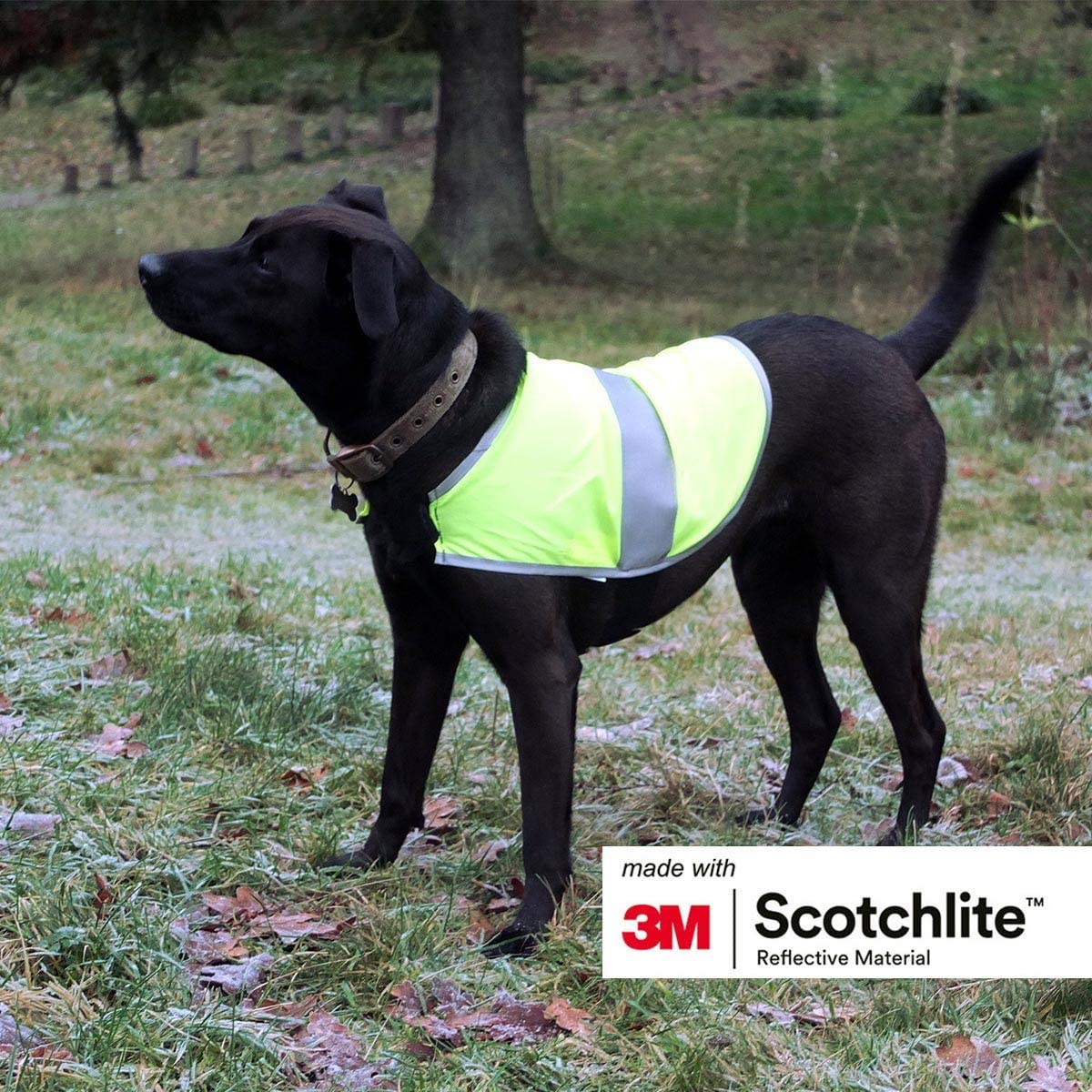  Salzmann 3M Chaleco Reflectante para Perros, Hecho con 3M Scotchlite, Chaqueta Reflectante para Perros en Diferentes tamaño para Todas Las Razas de Perros (2 Piezas por Juego). 