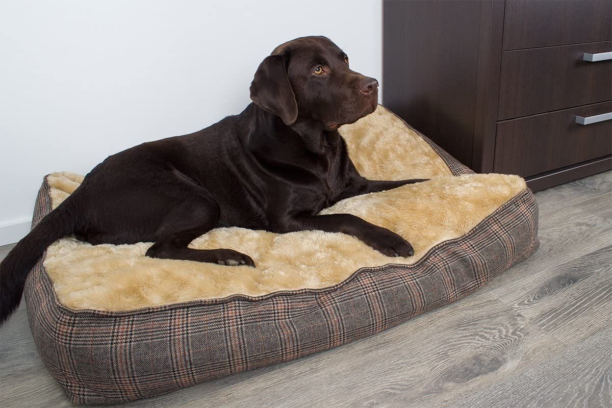  SAUERLAND Colchoneta para Perros XL Extra Gruesa, de Efecto Tweed, 100x70 cm, Cama para Perros Lavable 