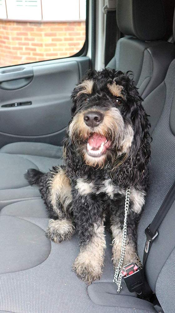  Segle Cinturón de Seguridad para Perro con Cadena de Metal para Coche, a Prueba de mordiscos, Correa de Seguridad para Perros y Gatos, arnés Universal 