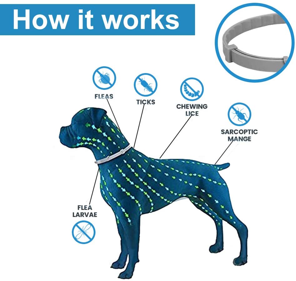  SEGMINISMART Collar Antiparasitos para Perro,Collar antipulgas y garrapatas para Perros y Gatos,Grandes contra Pulgas, Garrapatas y Mosquitos,Tamaño Ajustable e Impermeable 