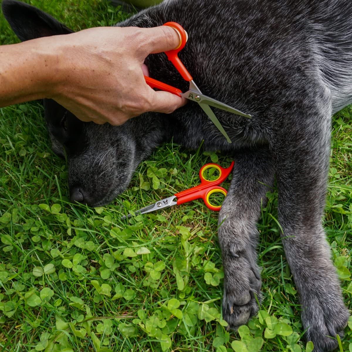  Set de 2 Tijeras para peluquería perros y mascotas | Acero inoxidable con punta redondeada 