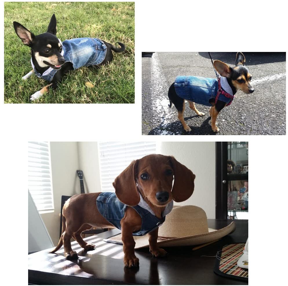  SILD - Chaqueta Vaquera con Capucha para Perros medianos y pequeños, diseño Vintage Desgastado, Color Azul (XL) 