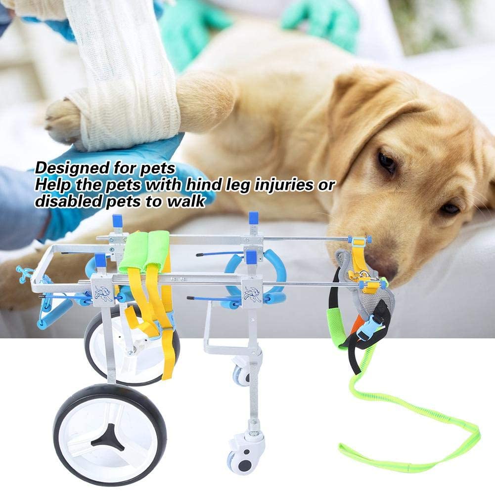  Silla de Ruedas para Mascotas,Coche de Paseo Asistido para Perros con Discapacidad con Ruedas Ajustables M de 4 Ruedas, Carro Ligero para Rehabilitación Ejercicio Piernas Traseras para Perros Gatos(M) 