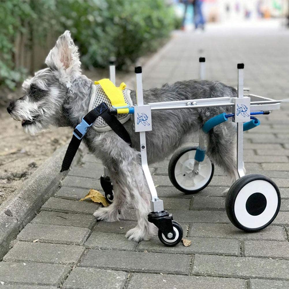  Silla de Ruedas para Mascotas,Coche de Paseo Asistido para Perros con Discapacidad con Ruedas Ajustables M de 4 Ruedas, Carro Ligero para Rehabilitación Ejercicio Piernas Traseras para Perros Gatos(M) 