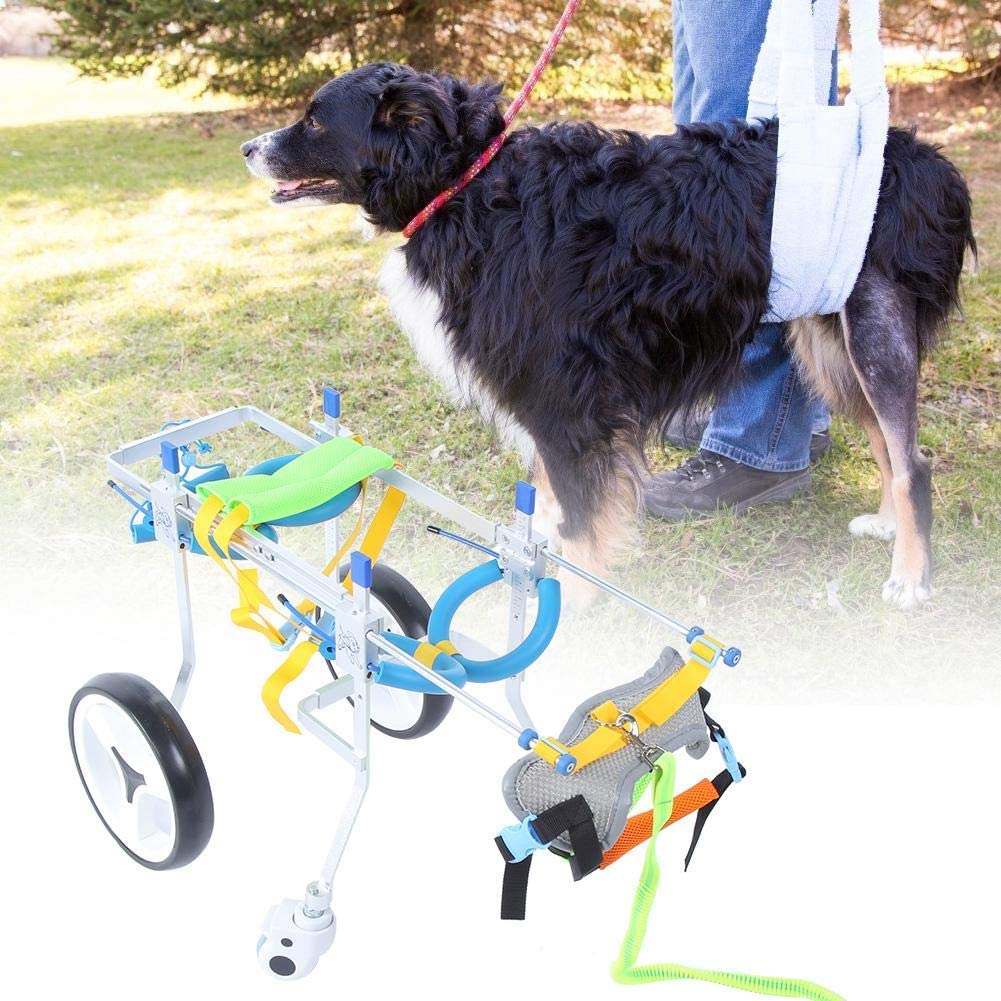  Silla de Ruedas para Mascotas,Coche de Paseo Asistido para Perros con Discapacidad con Ruedas Ajustables M de 4 Ruedas, Carro Ligero para Rehabilitación Ejercicio Piernas Traseras para Perros Gatos(M) 