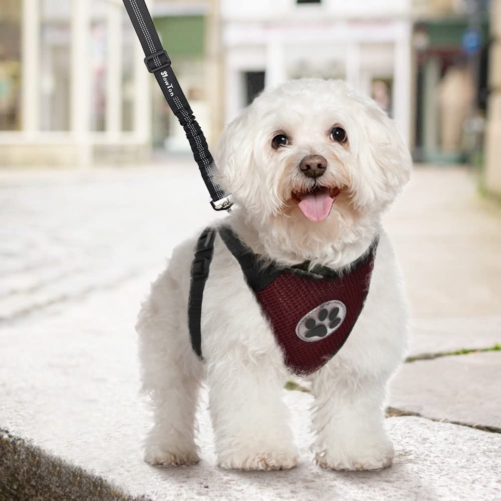  SlowTon Arnés para automóvil,(Sin cinturón de Seguridad) Arnés de Chaleco para Mascotas para Perros Seguridad en el Coche Cuello Ajustable y Correa para el Pecho (M, arnés de Perro (Burgund)) 