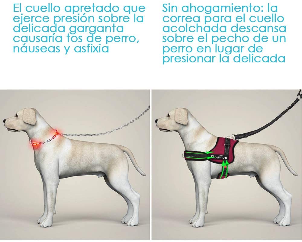  SlowTon Sin tirones Arnés de Perro, Suave Malla Acolchada Ajustable Fácil de Poner y Quitar el arnés con Hebilla de Bloqueo para Perros Grande Mascotas (L, Borgoña - Anillo Dual D) 