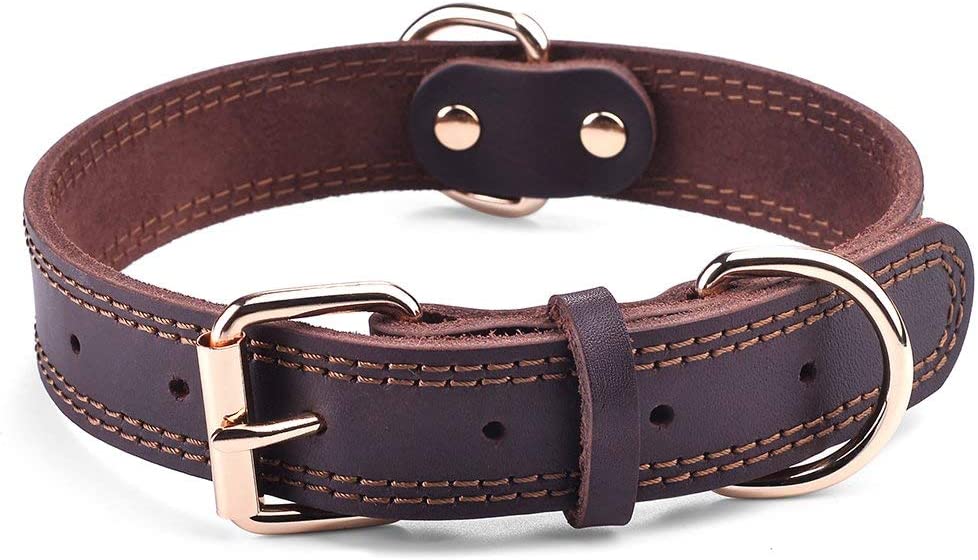  SLZZ Collar de Perro de Piel Personalizado Premium con Placa identificativa grabada, Suave al Tacto, Resistente Piel auténtica/Ajustable, Perros pequeños, medianos y Grandes 