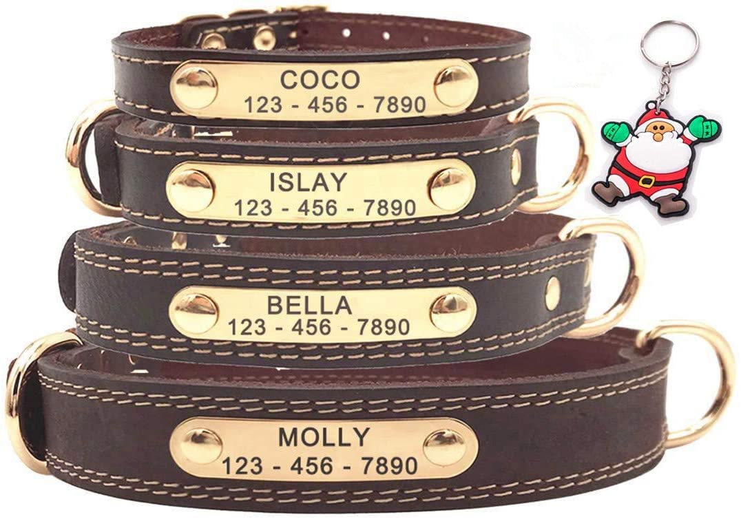  SLZZ Collar de Perro de Piel Personalizado Premium con Placa identificativa grabada, Suave al Tacto, Resistente Piel auténtica/Ajustable, Perros pequeños, medianos y Grandes 