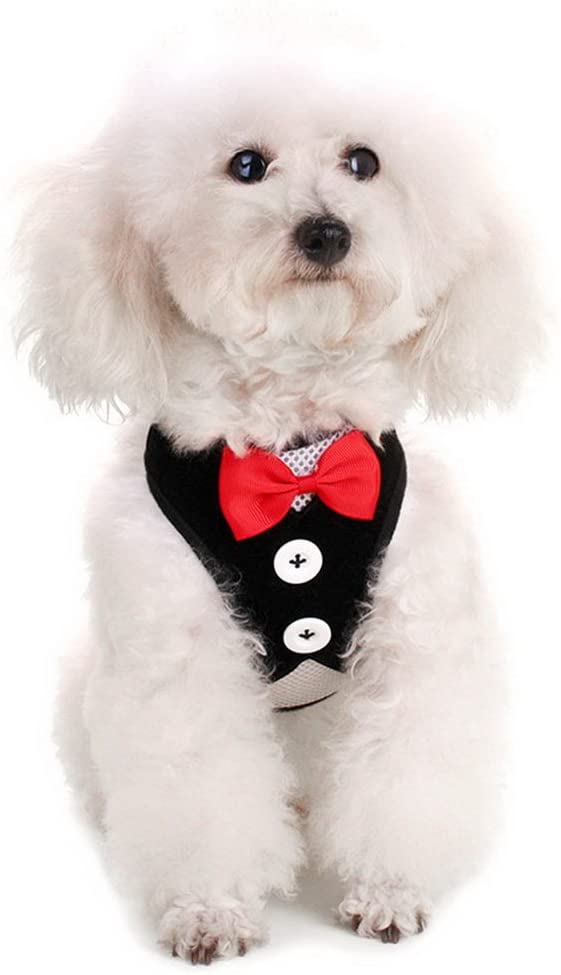  smalllee _ Lucky _ store, ajustable Tuxedo arnés chaleco para mascotas pequeñas perro gato suave malla acolchada 