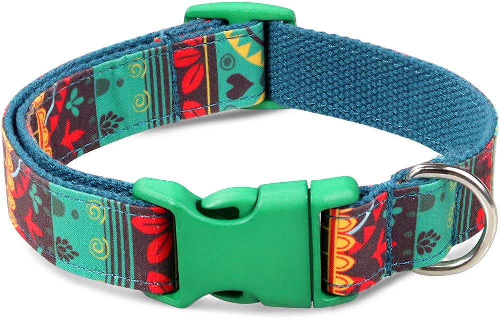  Taglory Collar Perro Ajustable,Estilo Único Collar Adiestramiento para Perros Medianos,35-50cm Verde Oscuro 