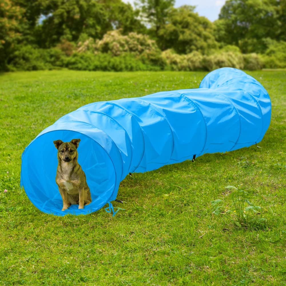  TecTake XXL túnel de Ejercicio para Perros Cueva Plegable Juego Agility 500x60cm (Azul | no. 401225) 