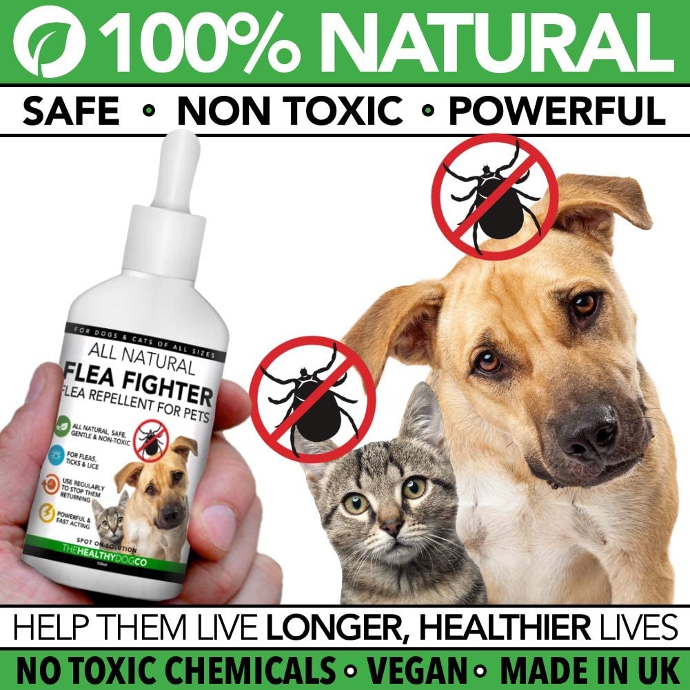  The Healthy Dog Co Solución para el Tratamiento y la prevención Natural de Las pulgas | Solución para Perros y Gatos | Mata, previene y controla Las pulgas, Las garrapatas y los piojos 