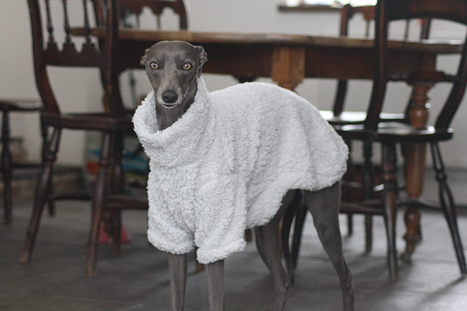  The Trendy Whippet Pijama de Forro Polar Suave Gris con diseño de Galgo Italiano, Azabache, Lurcher, Galgo, Saluki Sighthound. 