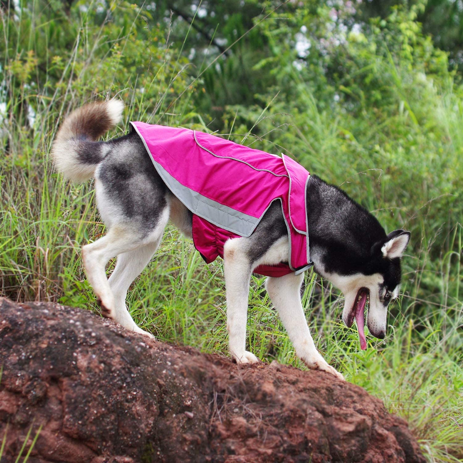  ThinkPet Chaqueta Perros Abrigo Perro Invierno Abrigo Forrado Impermeable con Copo de Nieve Sudadera Perro con Cintas Reflectantes para Perros pequeños medianos y Grandes 