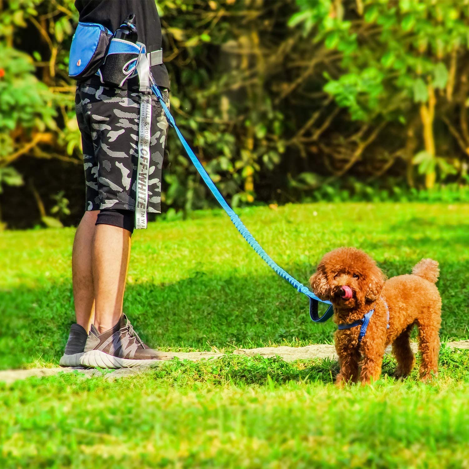  ThinkPet Correa Manos Libres para Perros Cinturón con Bolsillos para premios Perros, Correa Perro de Doble asa Acolchada para Correr 