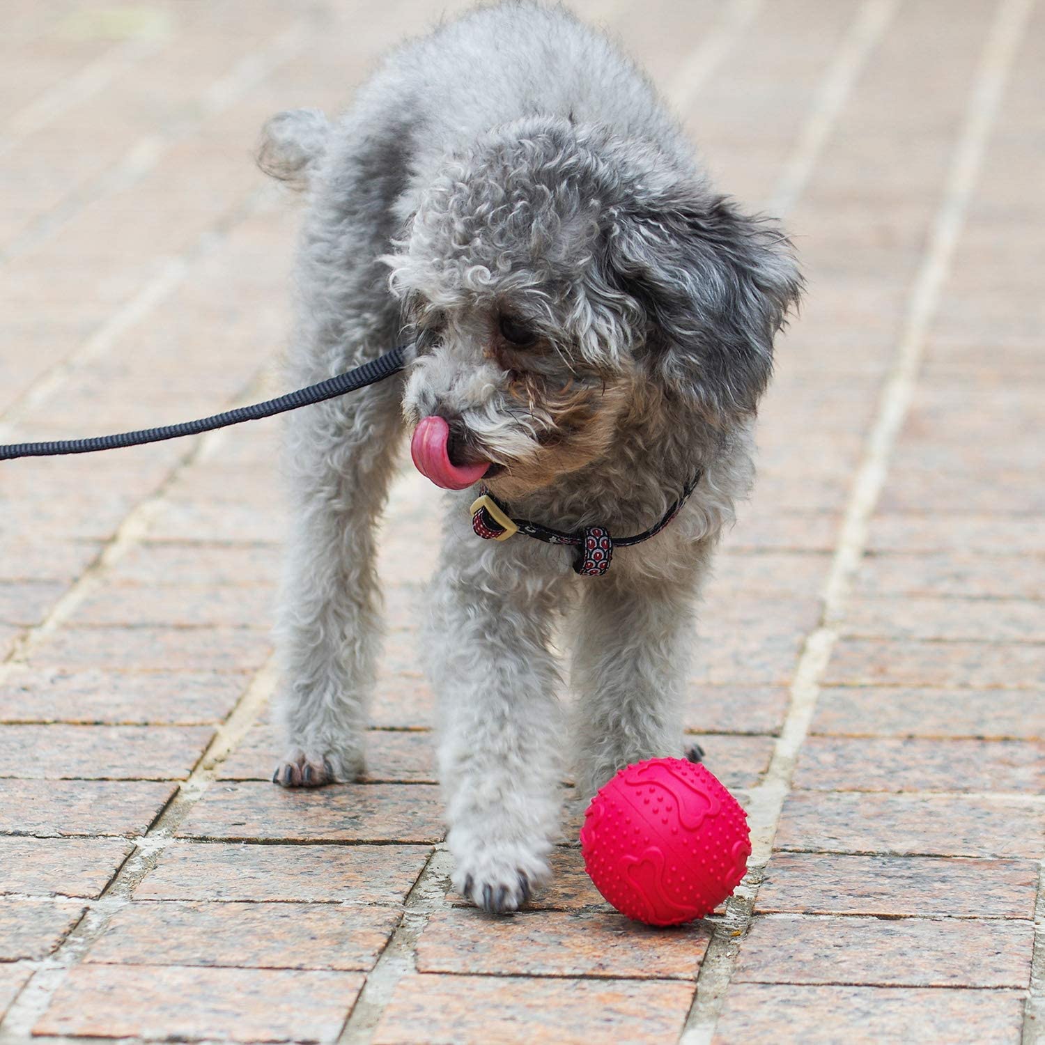  ThinkPet Juguete para Masticar Perros Juguete de Goma para Perros Dispensador de premios, Juguete Pelota Perro Inteligencia Juguete para Limpieza Dental 