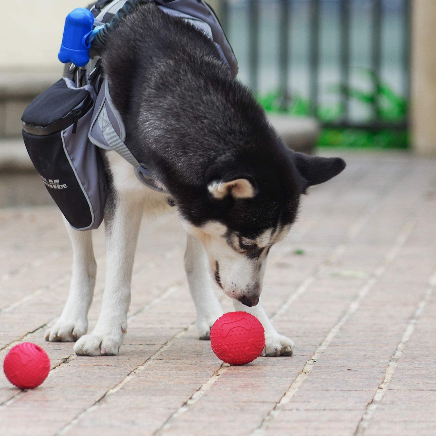  ThinkPet Juguete para Masticar Perros Juguete de Goma para Perros Dispensador de premios, Juguete Pelota Perro Inteligencia Juguete para Limpieza Dental 