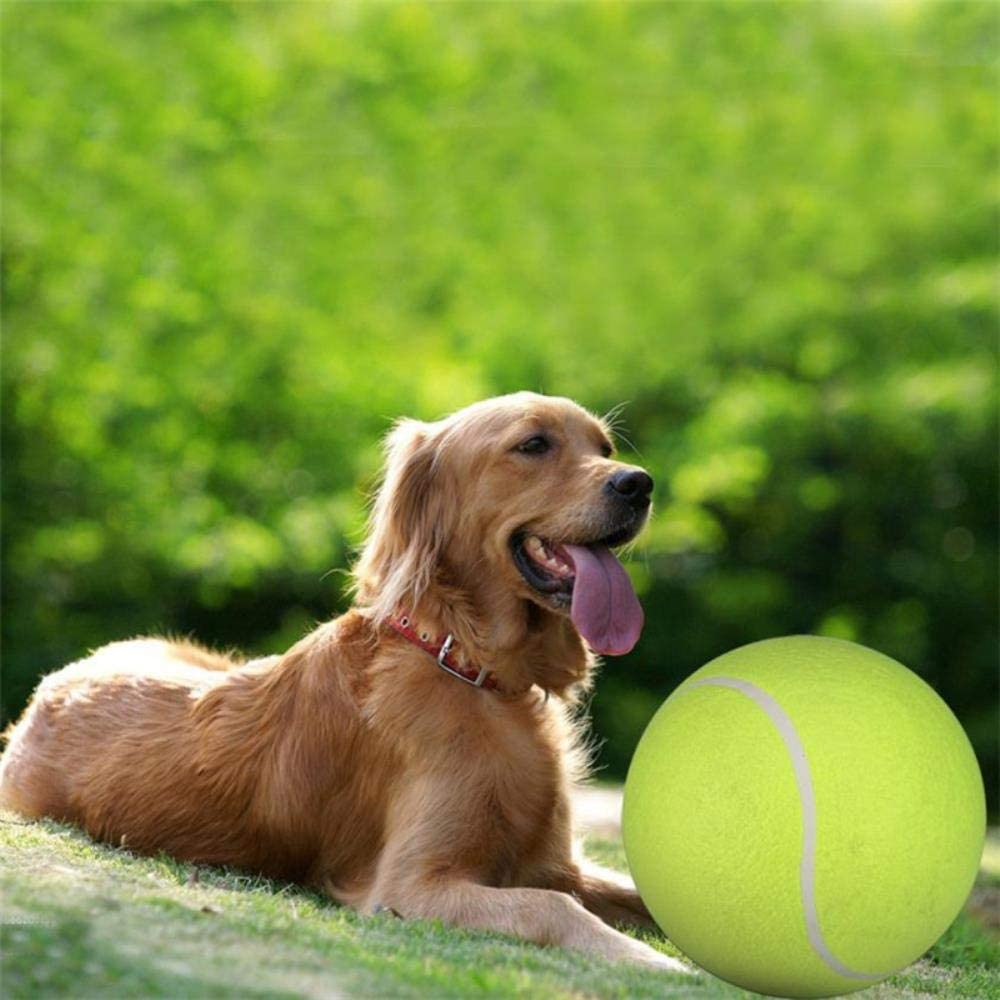  THREESS 24cm Juguetes para Masticar Perros Pelota de Tenis Gigante Deporte Juego al Aire Libre Lanzar Correr Recuperar Pelotas de Goma Mascota Perro Gato Cachorro Masticar Juguetes Pelota, Verde, M 